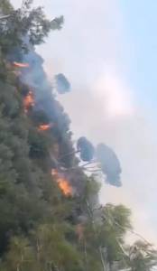 Fires are burning in Wadi Issa… Fire brigades are on alert