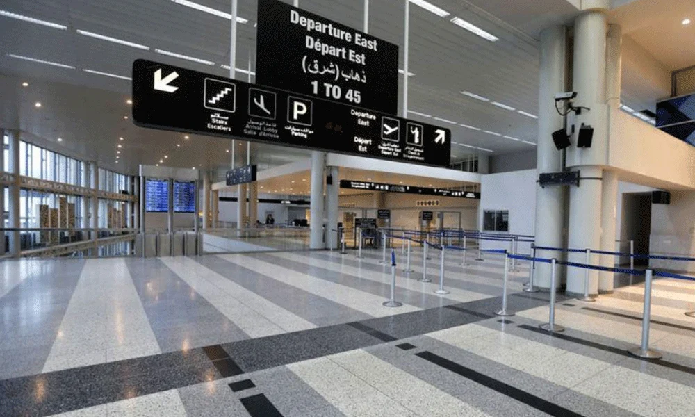 Bird danger alerts Beirut airport… Immediate action and accountability for violators