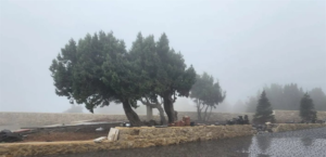 Prepare for torrential rains… a depression at the height of summer will hit Lebanon from this day