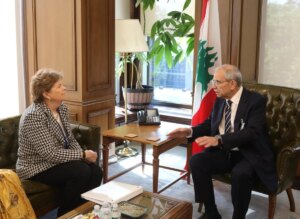 Shaheen warns of the widening financial gap and peace that depends on the stability of the south on international support