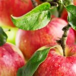 The apple disposal crisis looms on the horizon amid anticipated moves to contain it