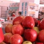 A national initiative succeeds in breaking the apple crisis and has wide repercussions