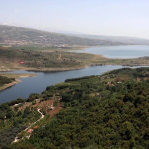 A blatant challenge to the decisions to close slaughterhouses… and the Litani Party threatens to escalate