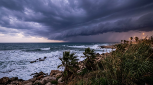 The calm before the storm… rain, thunder, and strong winds reaching 60 km/h soon!