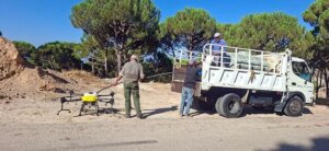 Drones to save pine forests amid obstacles from Israeli electronic warfare
