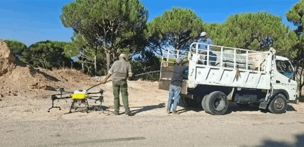 The Ministry of Agriculture launches an advanced campaign to combat fruit-bearing pine pests using modern technologies