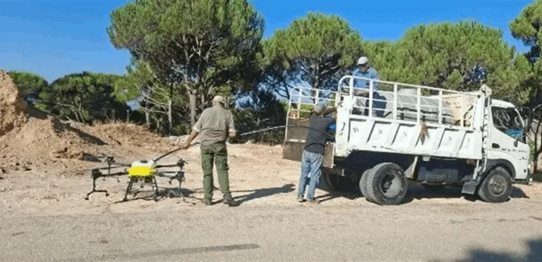 The Ministry of Agriculture launches an advanced campaign to combat fruit-bearing pine pests using modern technologies