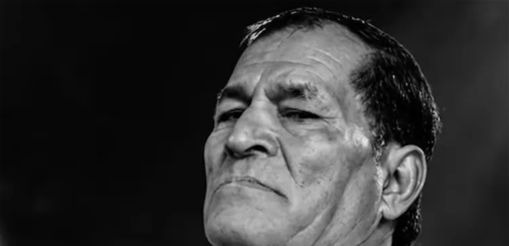 A wrestling referee died as a result of a prohibited move that knocked him out of the ring