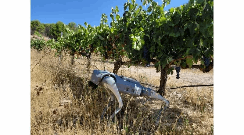 “Aggrhound”: a four-legged robot that guards agricultural crops