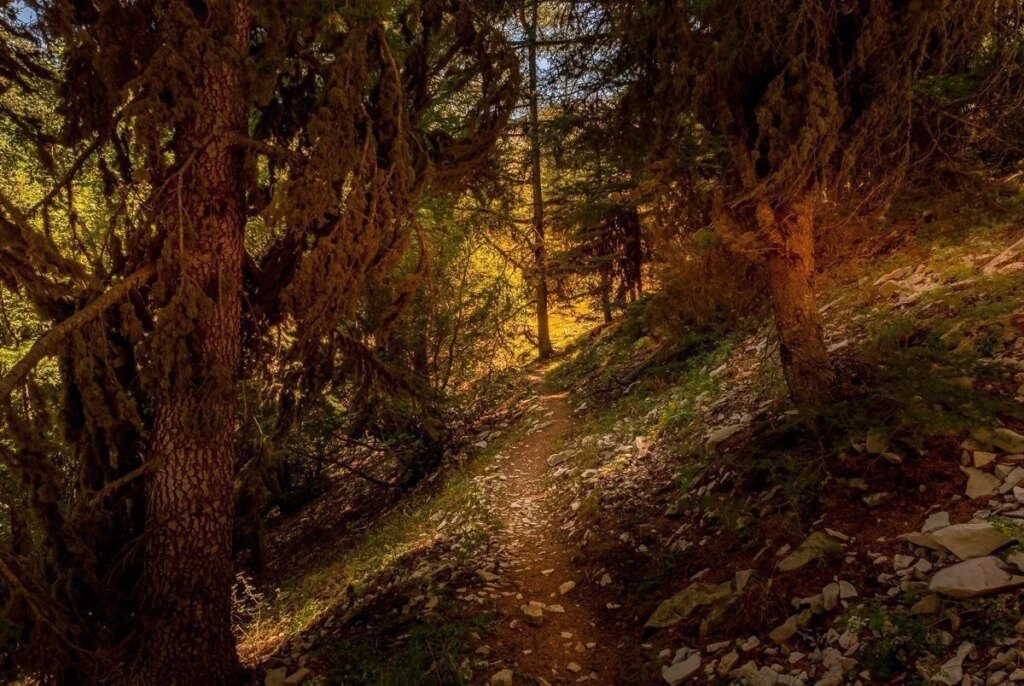 Ehden Reserve is a red line: the townspeople revolt against environmental modifications