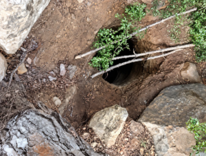 The “tunnel” scandal ignites the crisis: the displacement plan faces an impenetrable wall