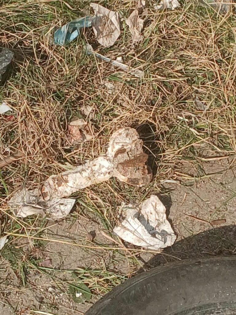 Security alert in Tripoli after a shell was found inside the Saraya building