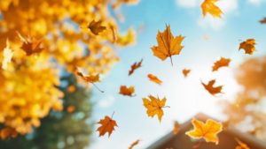 Enjoy the weather… before the cold and rain!