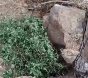 A security and political alert shakes the Matn.. A mysterious tunnel in Al-Fanar and Ruwaisat… Will it be the spark of confrontation between the state and the party??! (video)