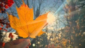 October is “confused”: a rise in temperature… and rain!