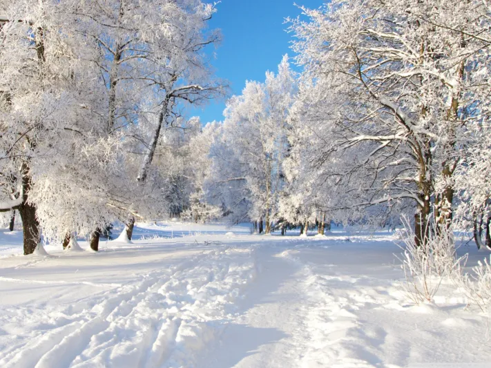 “Winter” has returned… a cold depression hits Lebanon on this date!